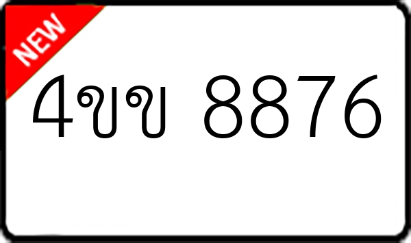 4ขข 8876